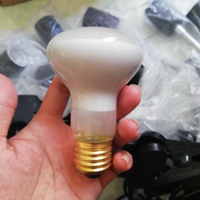Bóng đèn sưởi ngày dành cho thú cưng- bò sát