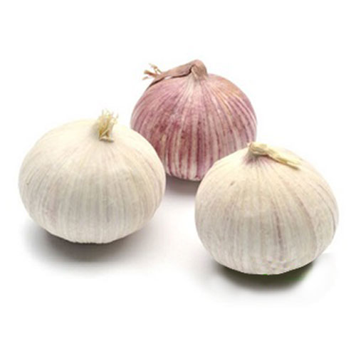 1KG củ tỏi Cô Đơn