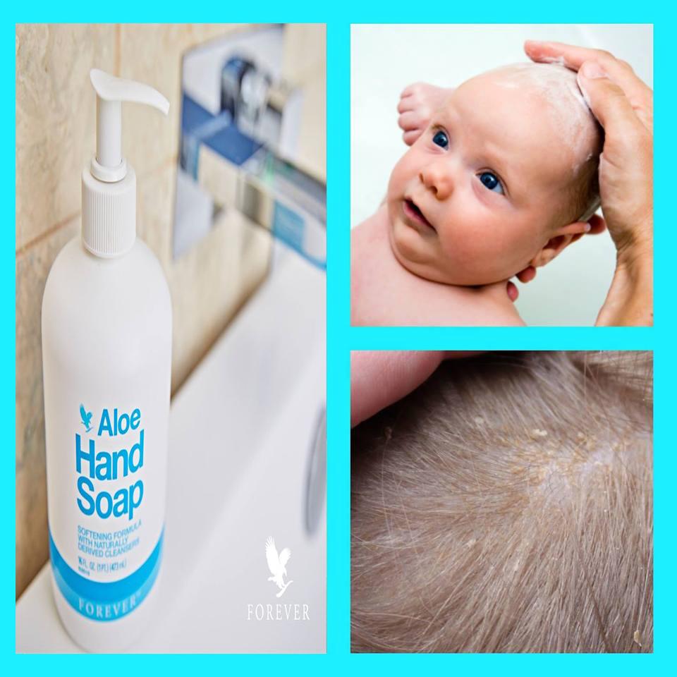 Bình Sữa Rửa Mặt Và Tay Aloe Liquid Soap 633 Flp