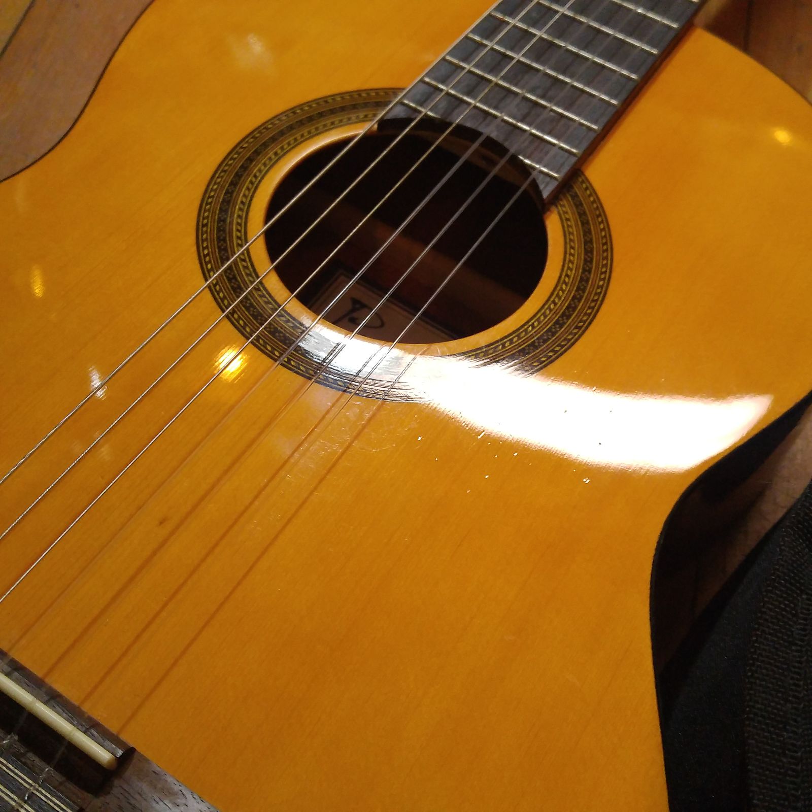 Đàn Guitar Classic Cordoba C1 Full Size