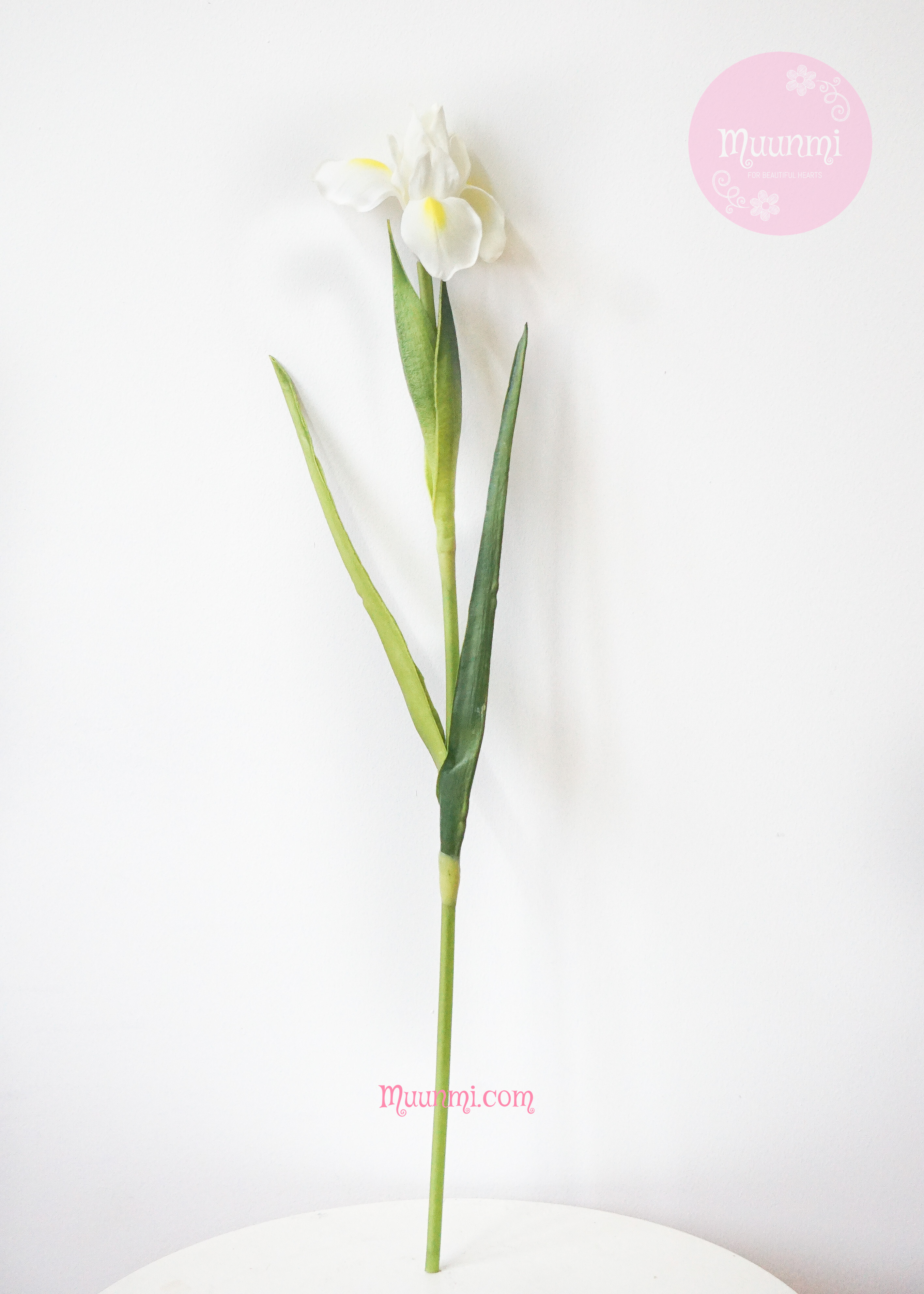 Hoa lụa 🌸 | Hoa DIÊN VĨ đẹp nhẹ nhàng thanh nhã ( 2 màu Vàng + Trắng)