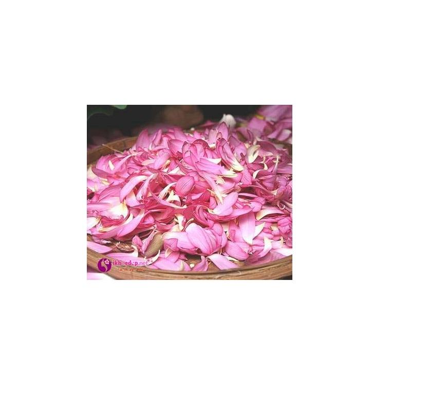 Tinh dầu treo xe hương Sen.