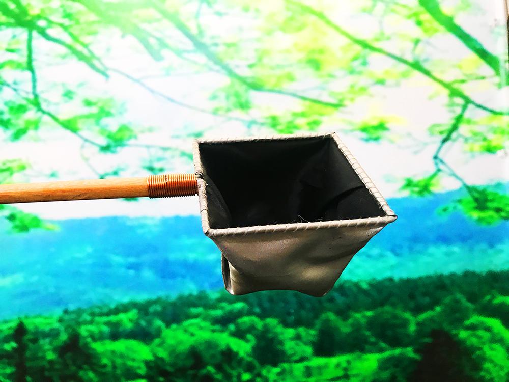 Vợt Nước vớt cá Betta - Guppy - Show cá