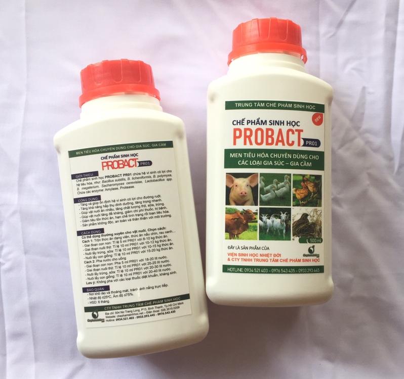 Men tiêu hóa  PROBACT cho gia cầm, gia súc