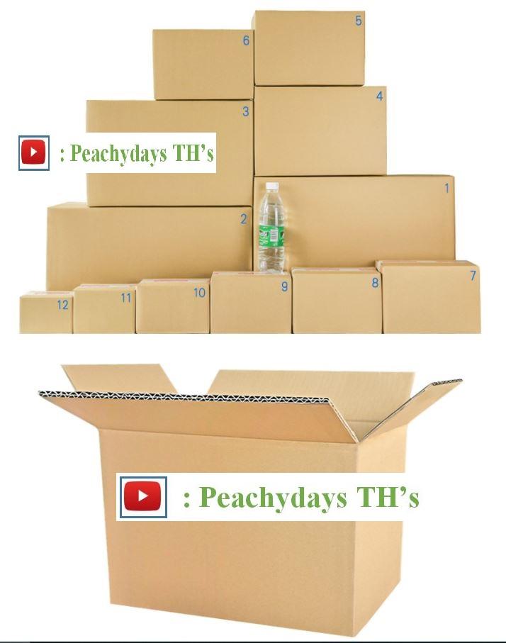 Thùng đựng bảo vệ sản phẩm, CÓ ĐỀN BÙ NẾU SP BỊ BỂ DO VẬN CHUYỂN