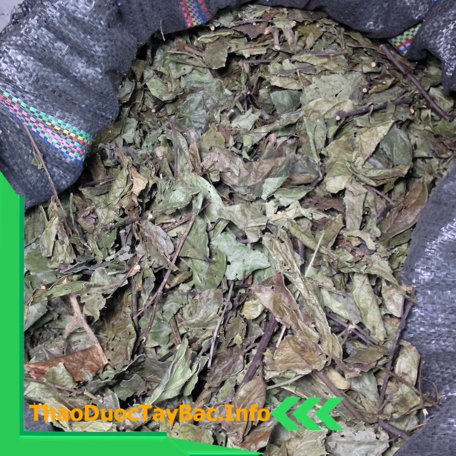 1Kg Cây Xạ Đen Phơi Khô