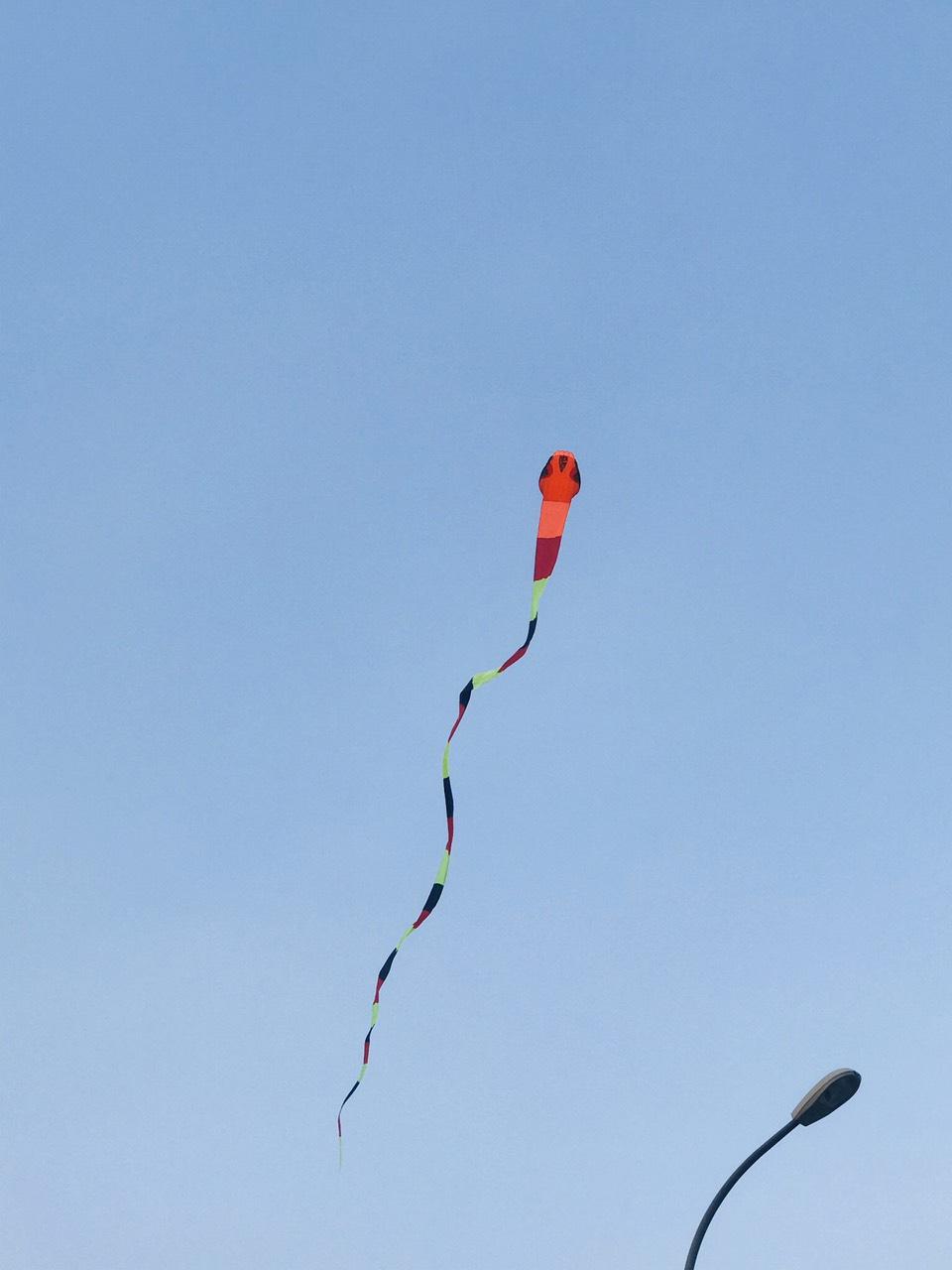 Kites - Diều hình con rắn dài 40m