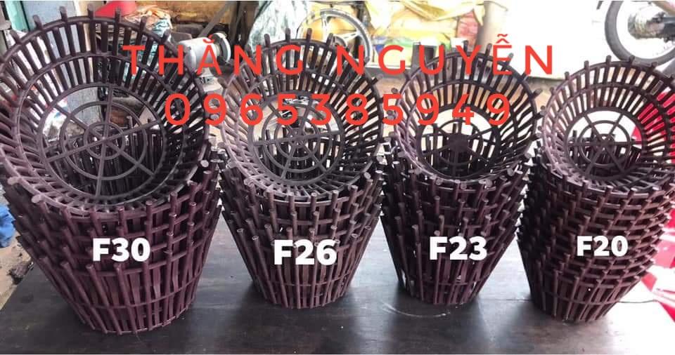 50 chậu trồng lan F12