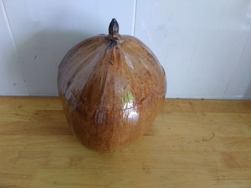 bình giữ nhiệt ấm trà trái dừa