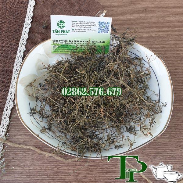 Bạch hoa xà thiện thảo loại sấy khô 1kg - Hàng sạch xanh chất lượng cao