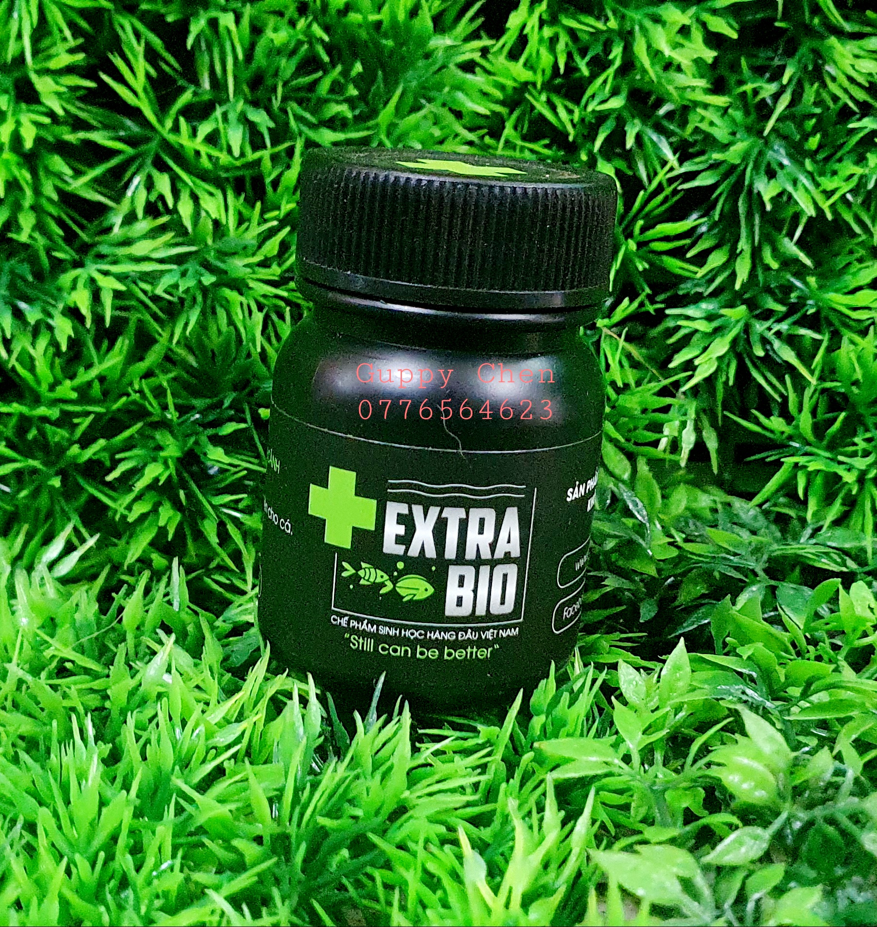 vi sinh extra bio cho hồ cá thủy sinh