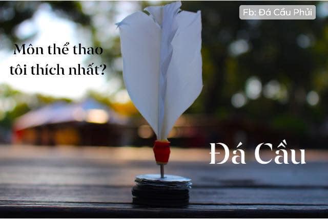 [Flash sale] - 10 quả cầu đá lông gà