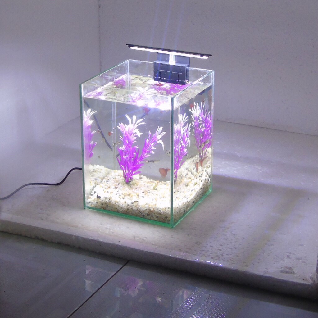 RBS Bể cá mini đèn led để bàn 15x15x20