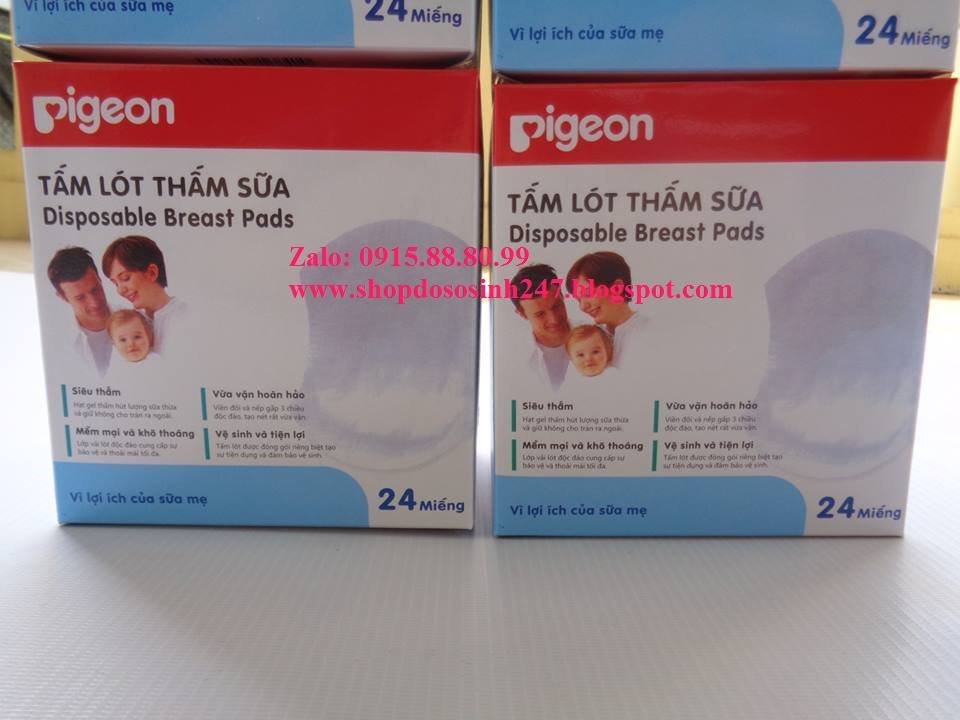 24 Miếng lót thấm sữa Pigeon