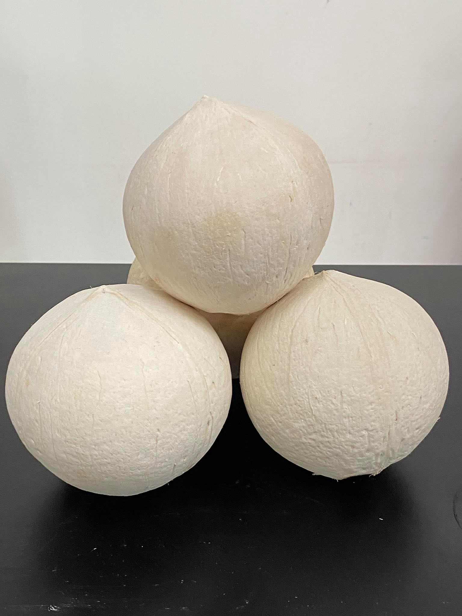 Dừa trọc