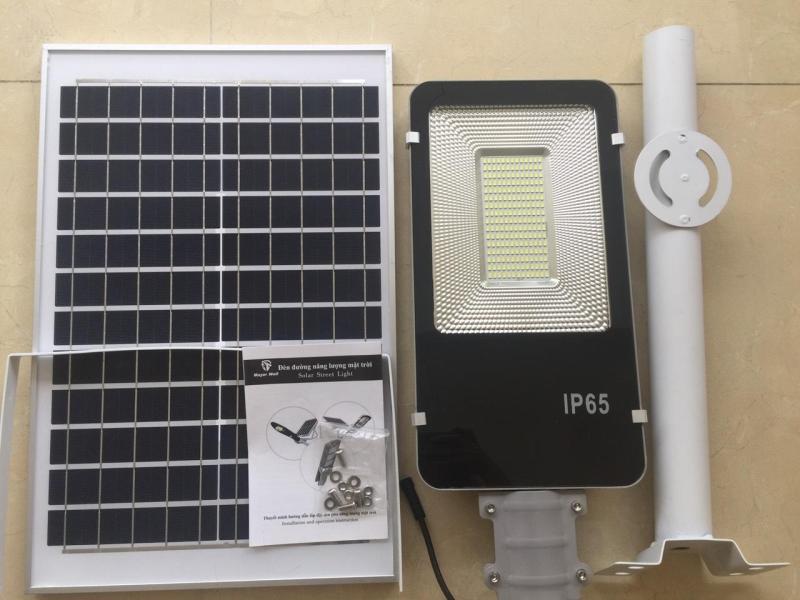 Đèn đường bàn chải 100W