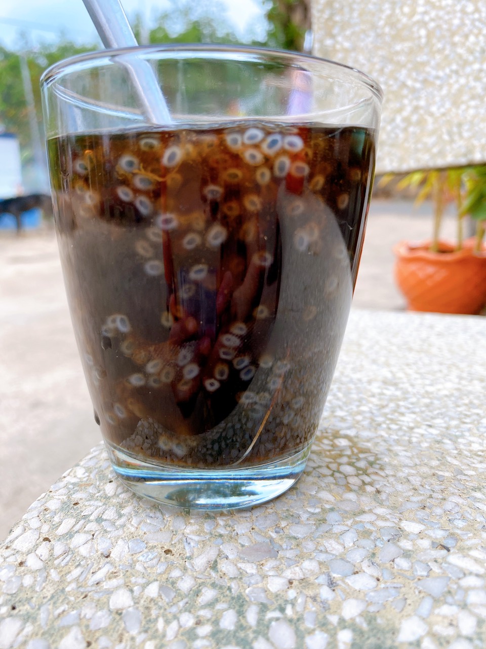 Hạt đười ươi bay rừng Nam Cát Tiên