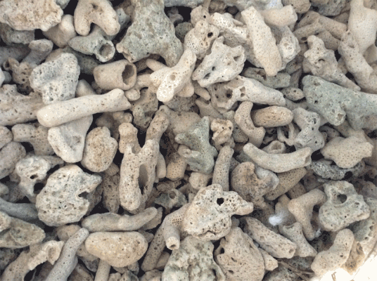 San hô vụn lọc nước bể cá - 1KG