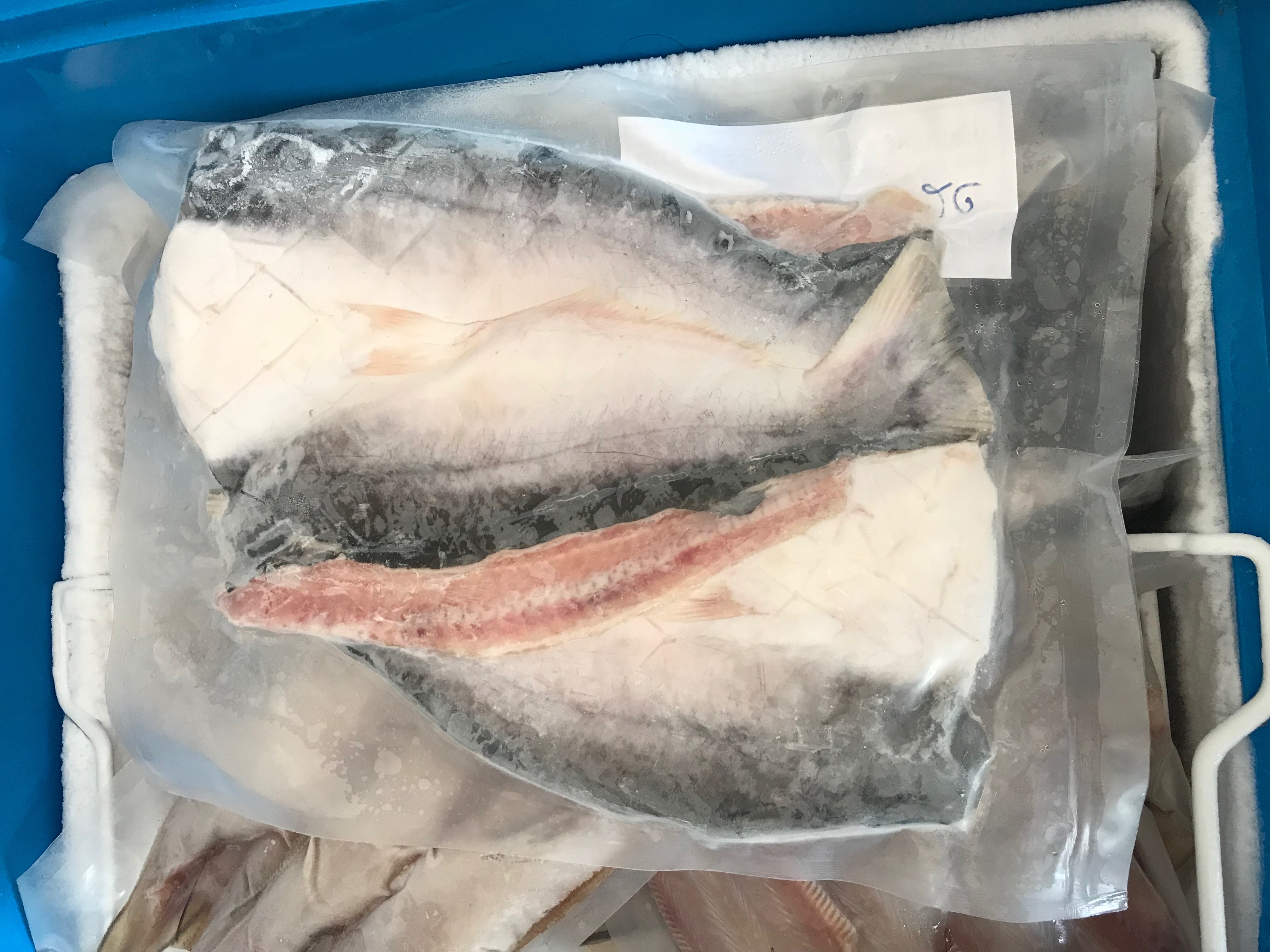 Cá dứa 1 nắng, Biển Cần Giờ