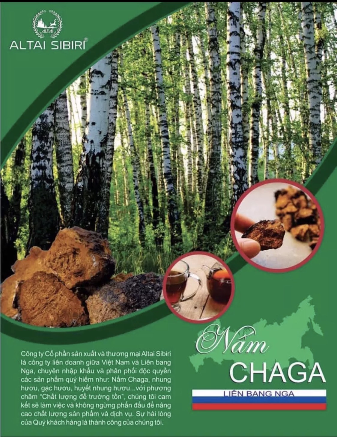 Nấm Chaga Sibiri Nga- Gói 100 gram