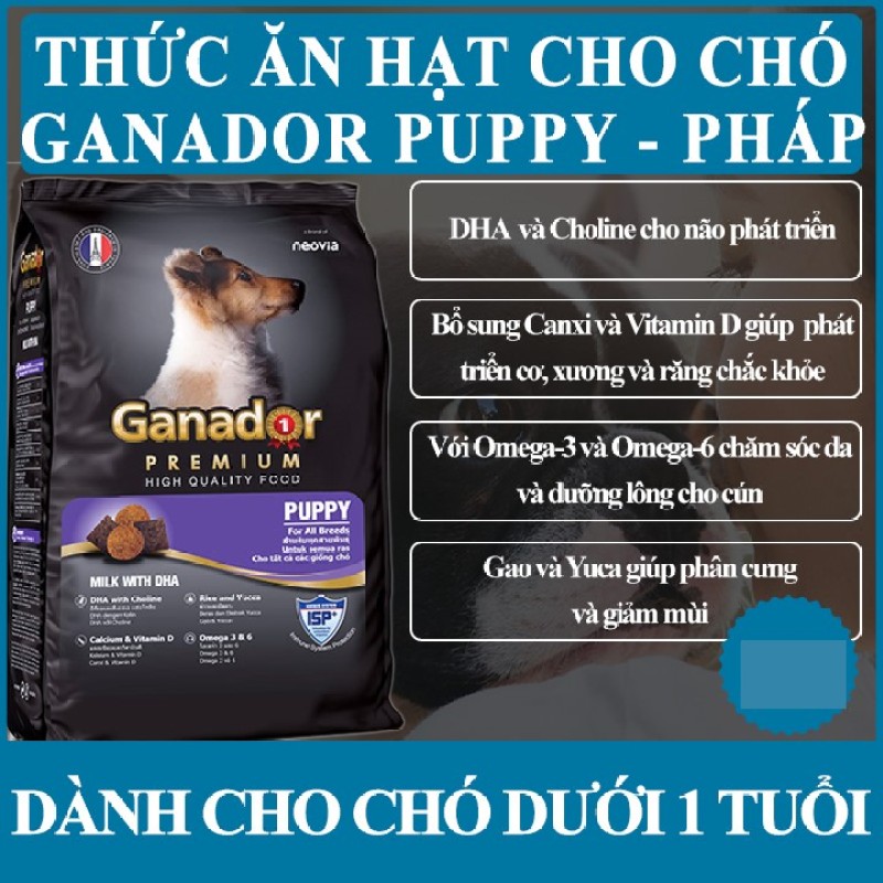 Thức ăn cho chó con Ganador Puppy Sữa và DHA 400g - Pháp