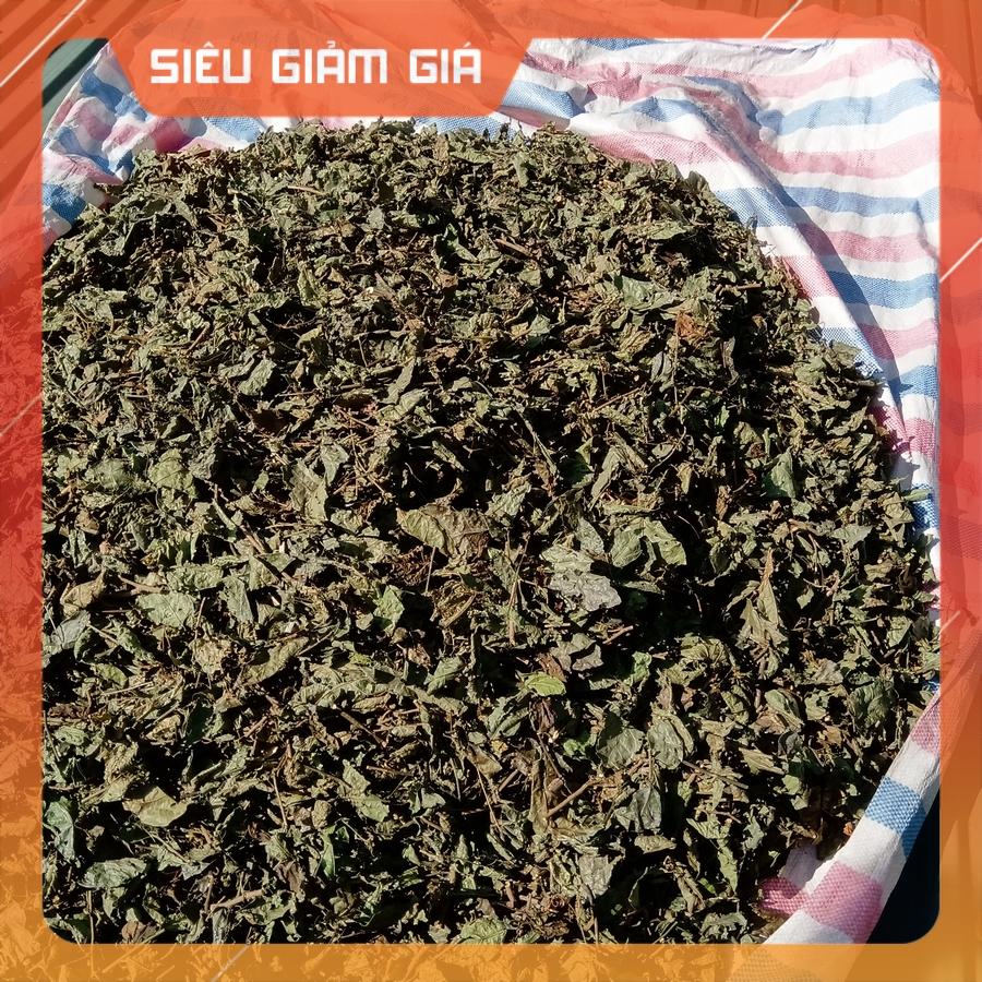 [Bịch 1Kg] ✅ Xạ Đen Hòa Bình - Cây Xạ Đen Lá Răng Cưa