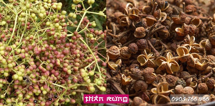 Hạt Mắc Khén | (Combo) x 2 túi 200gr