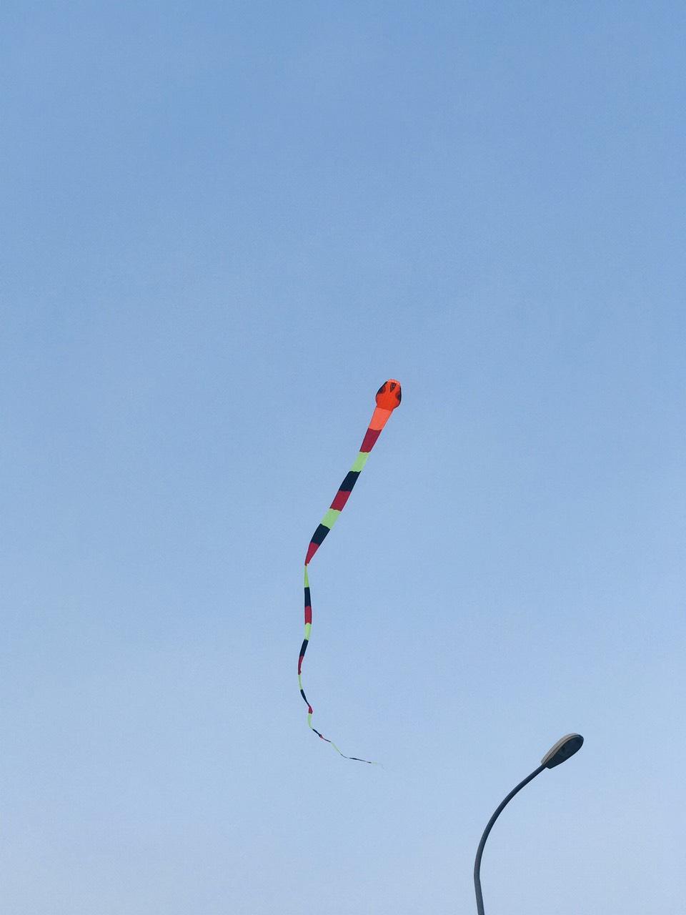 Kites - Diều hình con rắn dài 40m