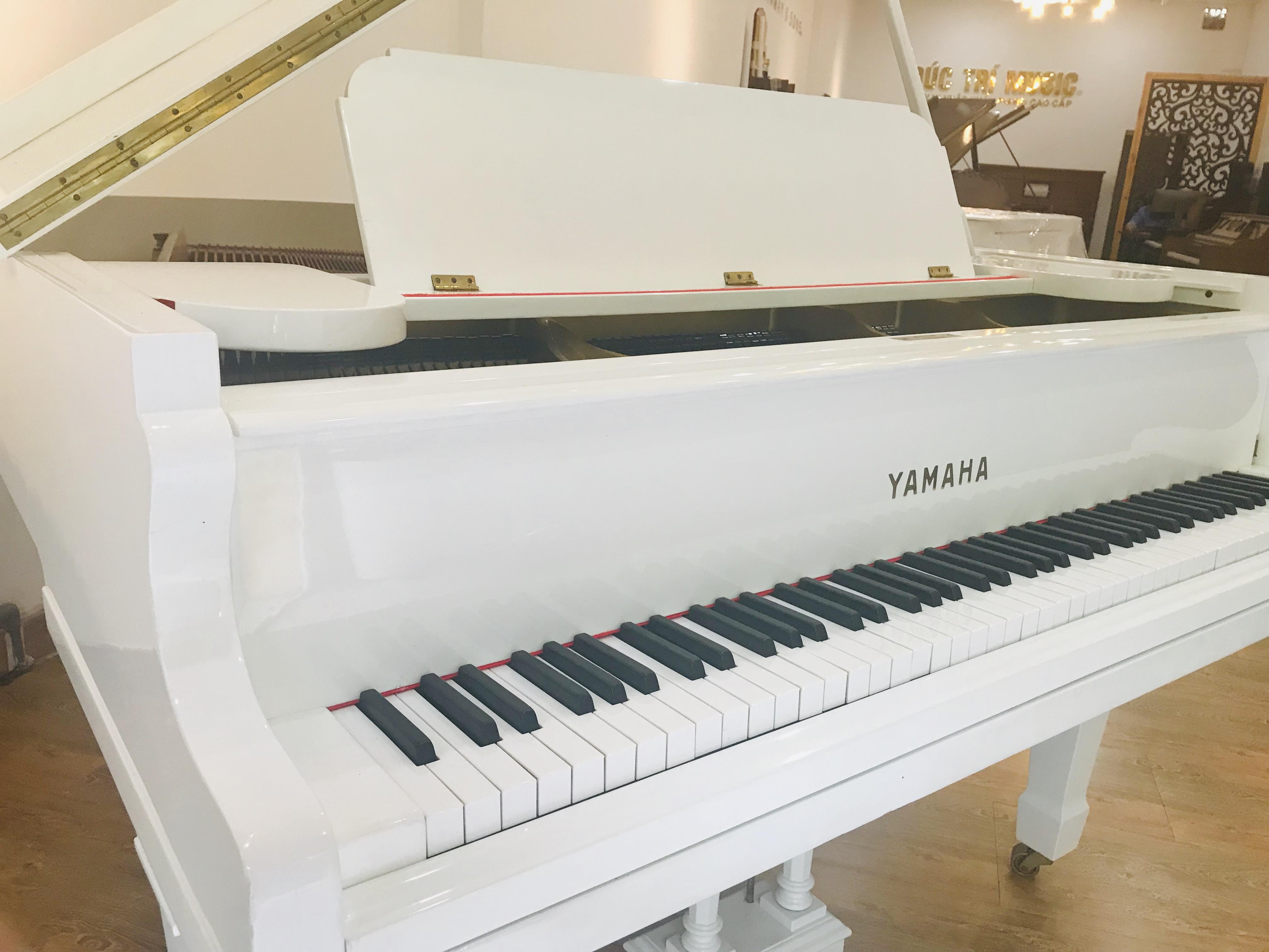 Đàn Piano Cơ Yamaha G3