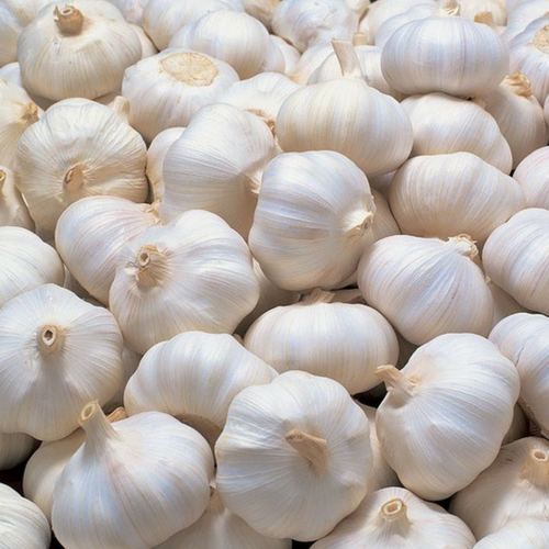 1KG củ tỏi Lý Sơn trắng