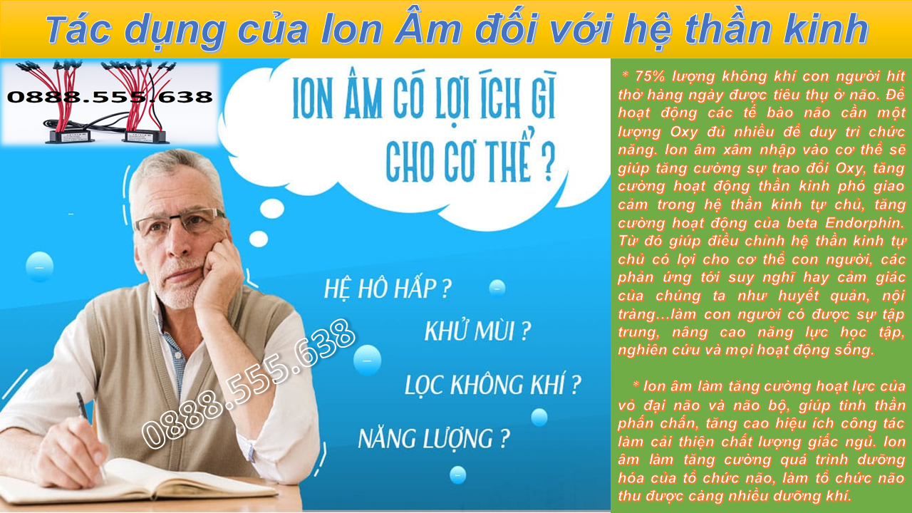 Combo 2 bộ đầu phát ion negative 10 râu - 2 râu 220v