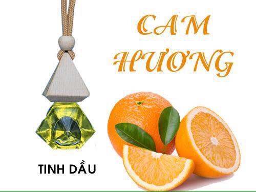 Combo 5 lọ tinh dầu thơm treo xe , treo phòng hương Cam Ngọt.