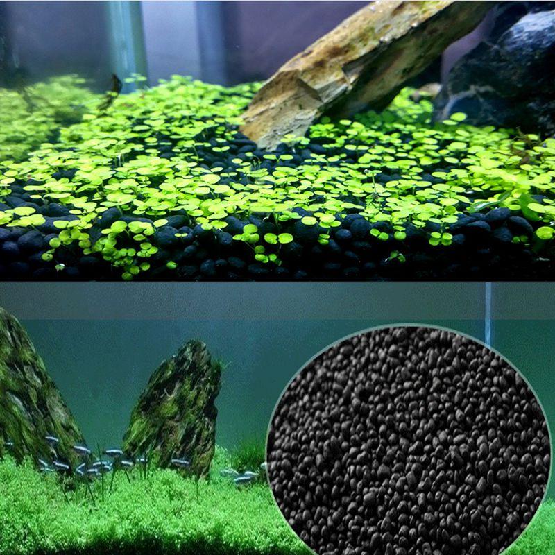 700gram Phân nền thủy sinh bể cá và hạt giống trân châu ngọc trai