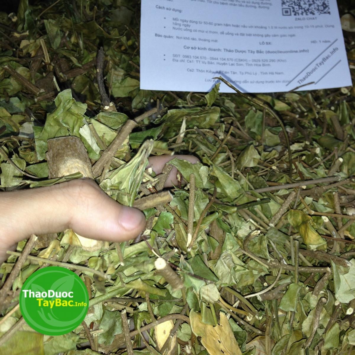 Lá Thìa Canh