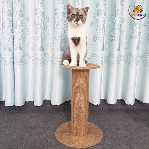Trụ Cào Móng Cho Mèo Giá Rẻ HM008