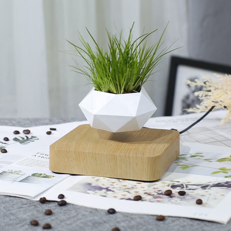 kệ trưng bày sản phẩm bonsai bay lơ lửng