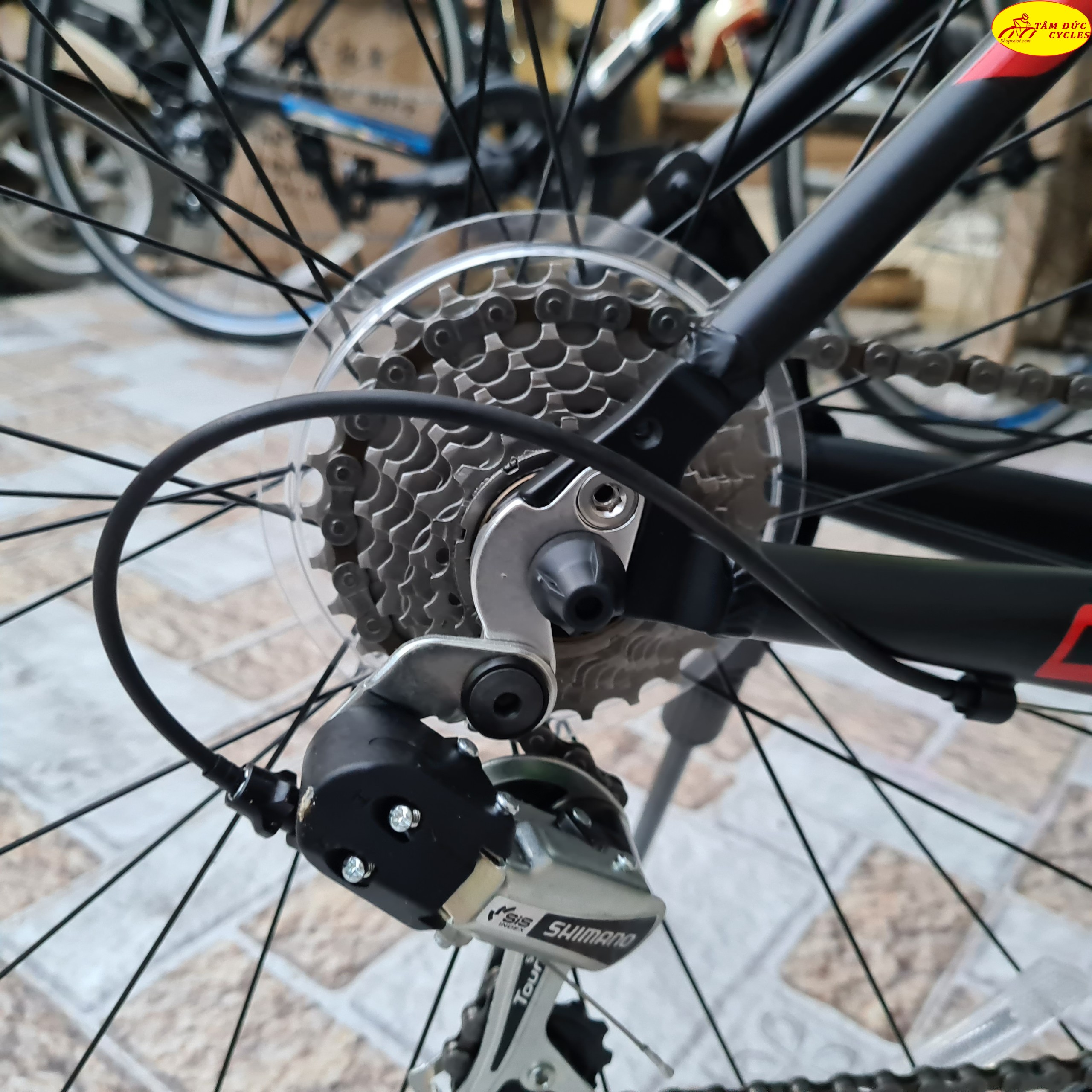 Xe Đạp Touring Catani Model 2.0