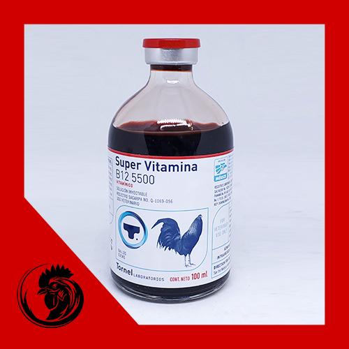 B12 5500 dạng chích chai 100ml