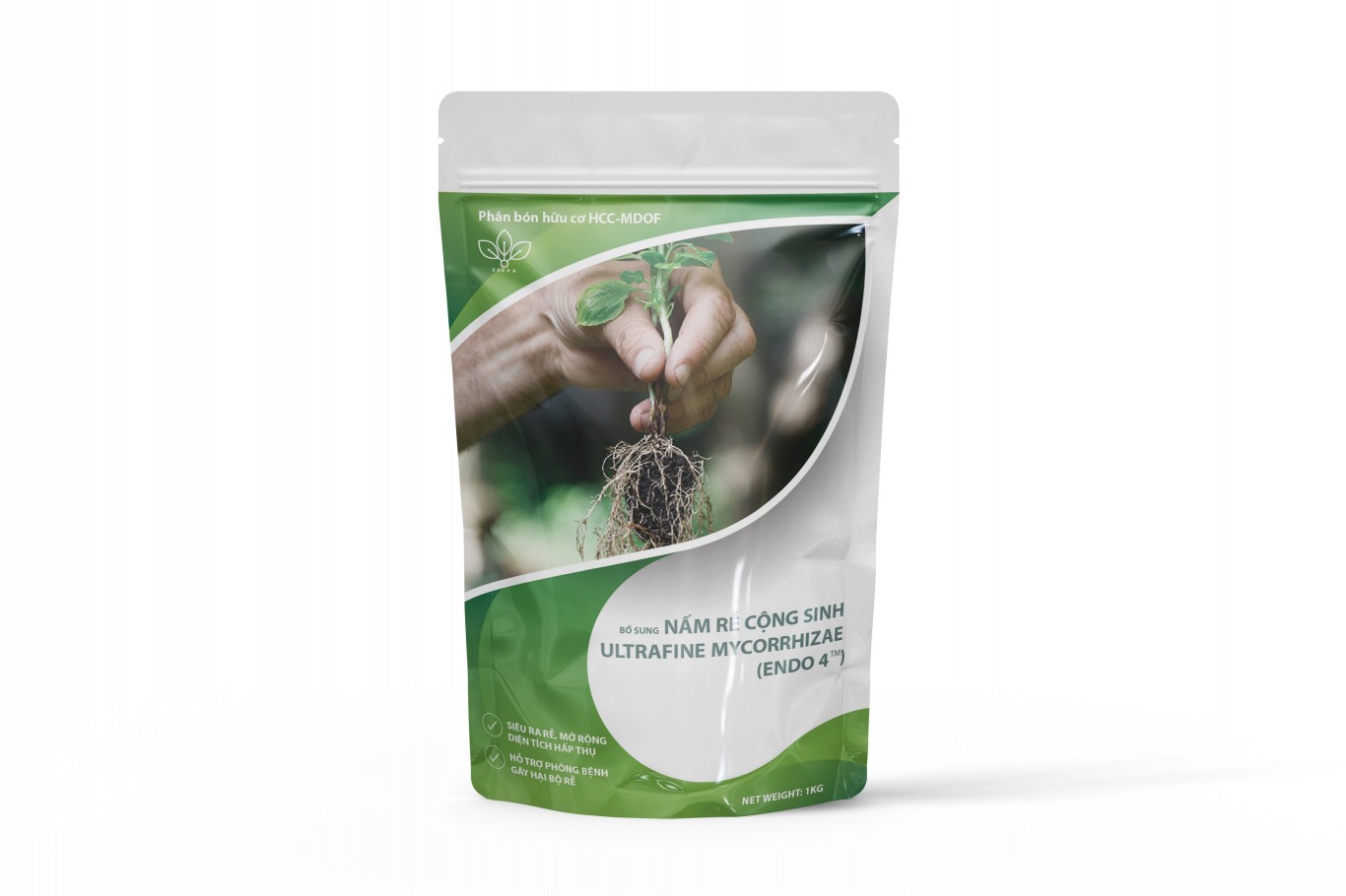 SIÊU KÍCH RỄ- NẤM RỄ CỘNG SINH MYCORRHIZAE