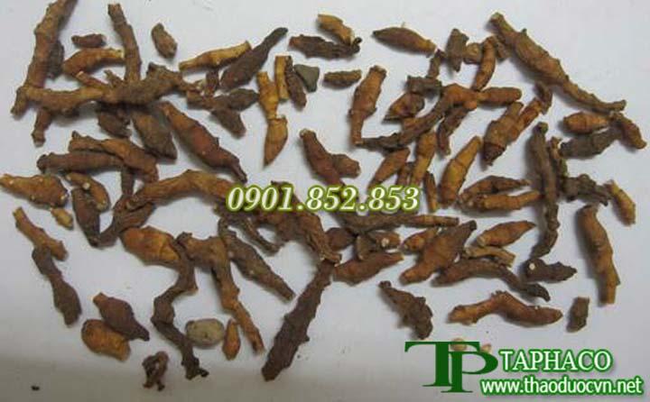 Thạch xương bổ khô 500g - Taphaco