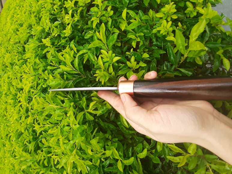 Dao Phaluong Mộc Nhiên Phúc Sen Cao Cấp