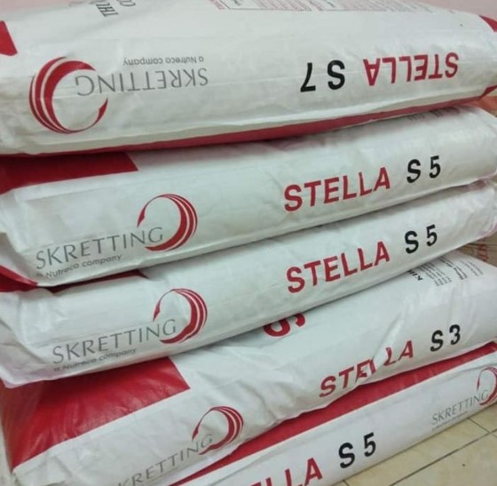 1 Kg Cám Sá Chép Koi Stella size S5