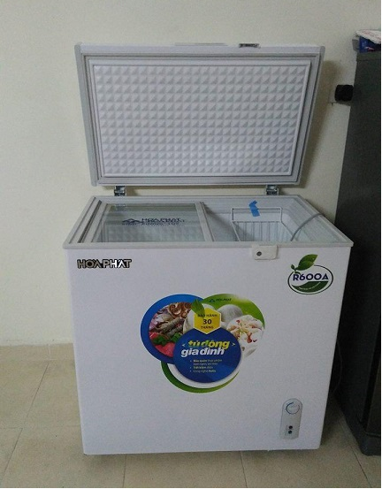 Tủ đông Hòa Phát 162L HCF 336S1