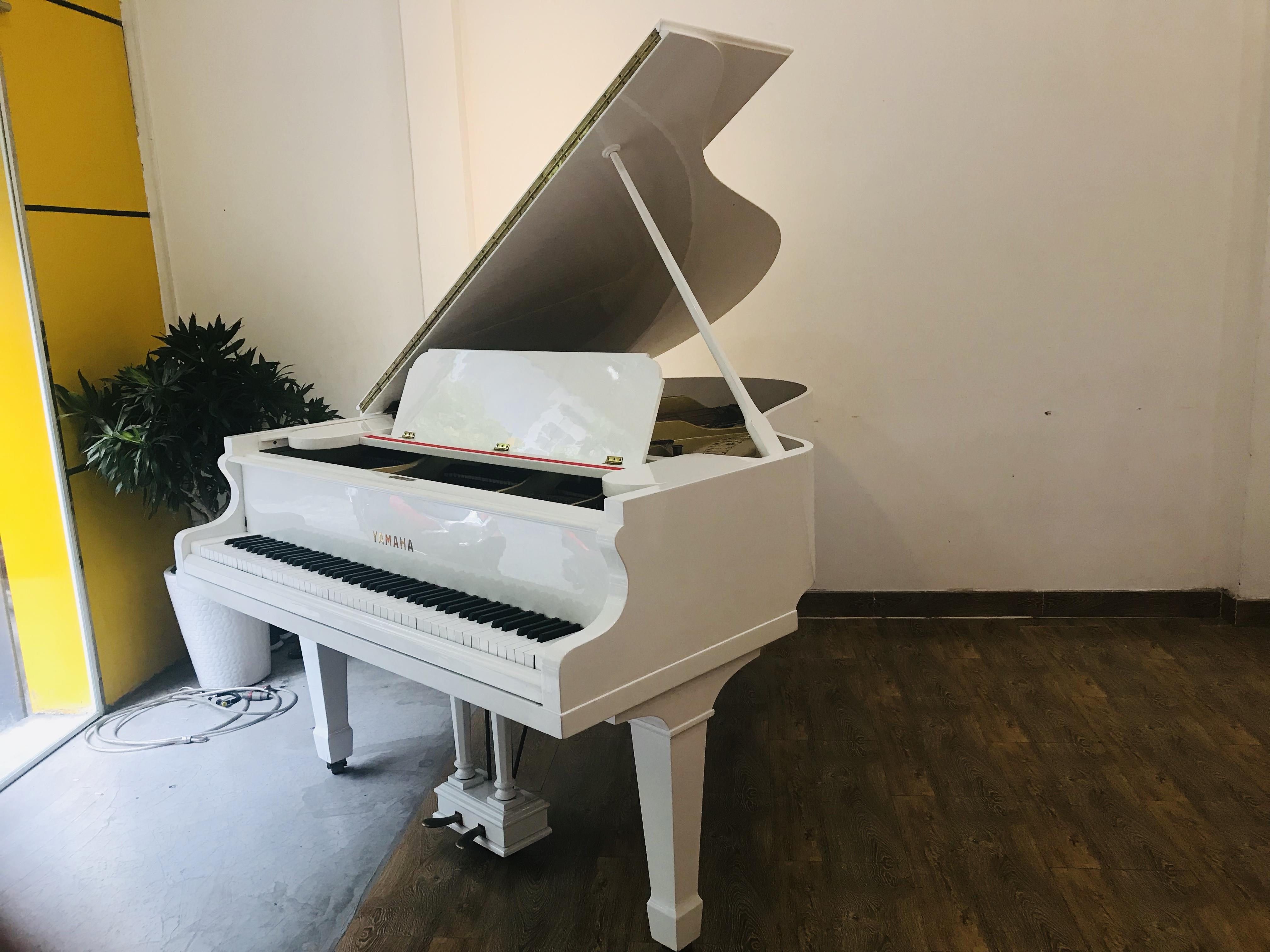 Đàn Piano Cơ Yamaha G3