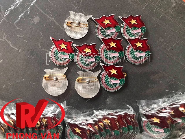 Set 10 huy hiệu đoàn