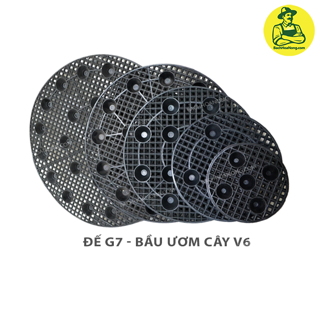 [HCM]Đế bầu G7 dùng cho Bầu ươm V6 -  60cm