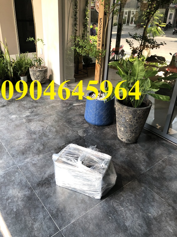 [HCM]bẫy mỡ 50 lít