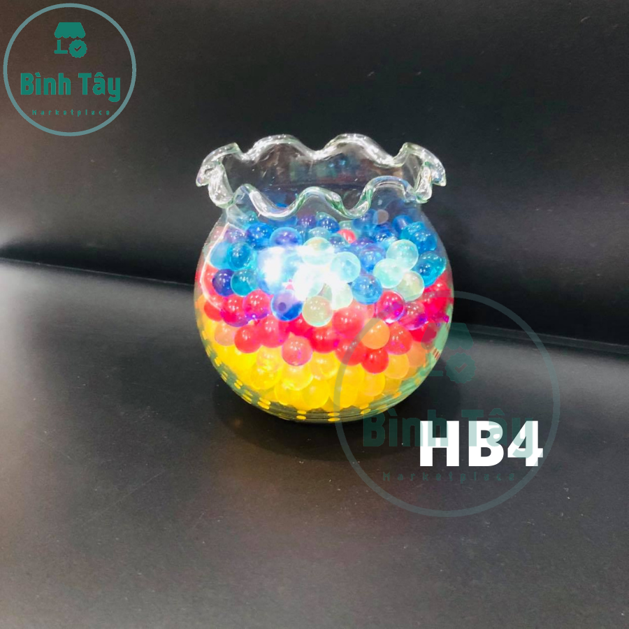 [HCM]BỂ CÁ THỦY TINH HỒ CÁ CHẬU CÂY MIỆNG BÈO BT-HB4