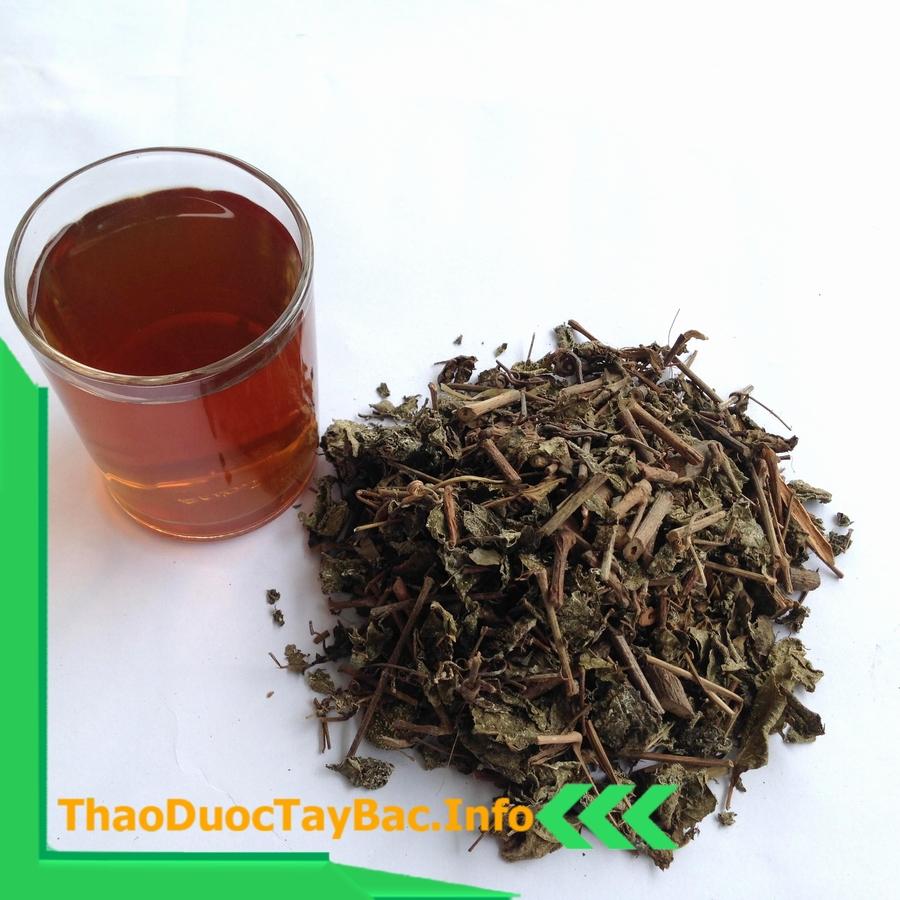 Combo 3Kg Cây An Xoa Tím
