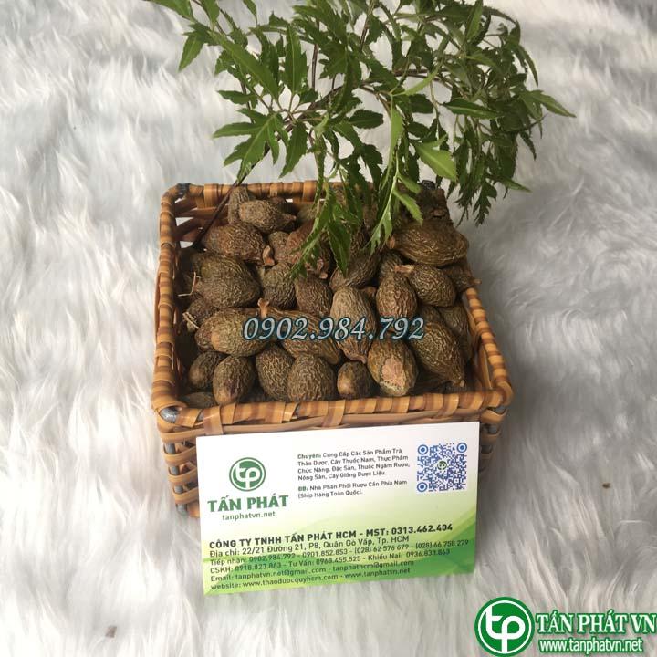 Hạt đười ươi bay 500g cao cấp tấn phát